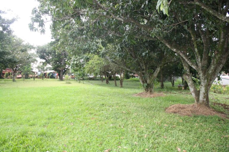 propiedad-en-rio-segundo-de-alajuela-5