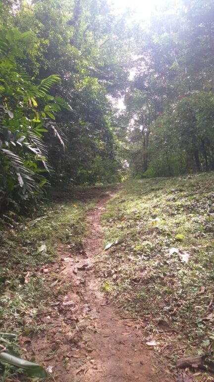 punta-mona-caribe-limon-ad-23