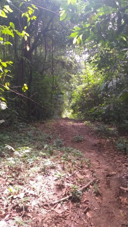 punta-mona-caribe-limon-ad-24