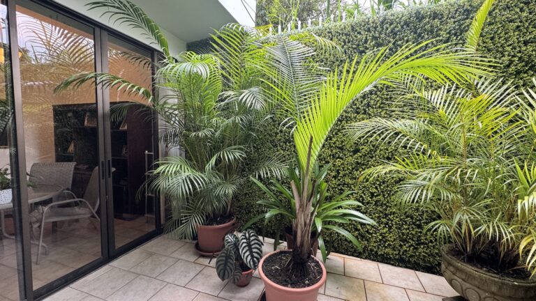 venta-casa-duplex-pinares-5