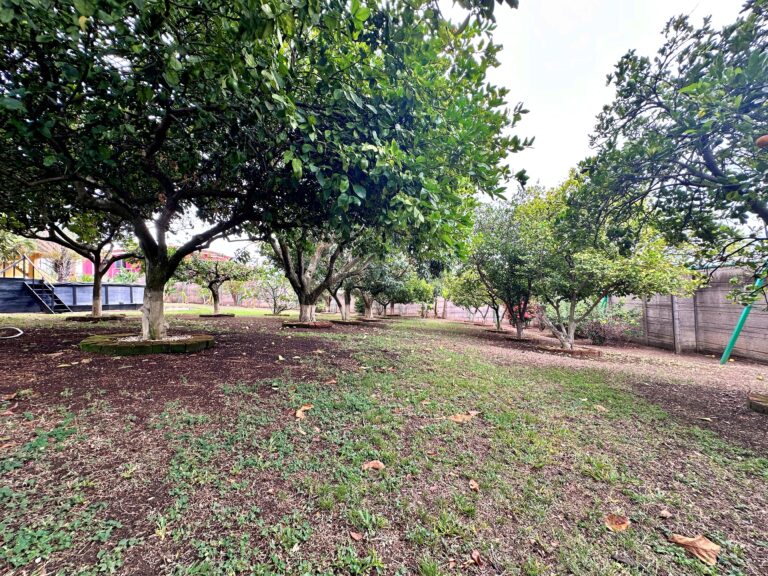 venta-de-casa-amueblada-en-gran-terreno-grecia-alajuela.-fau-8