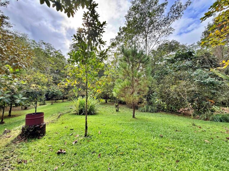 venta-finca-c3-edificaciones-rio-y-vivero-tarcoles-garabito.-mv-10
