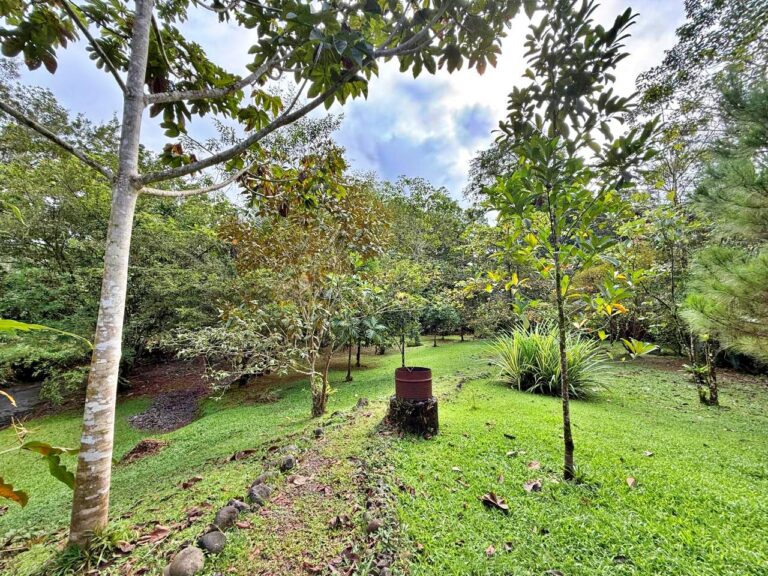venta-finca-c3-edificaciones-rio-y-vivero-tarcoles-garabito.-mv-12