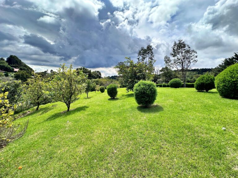 venta-gran-terreno-cvistas-sabana-redonda-poas.-fau-8