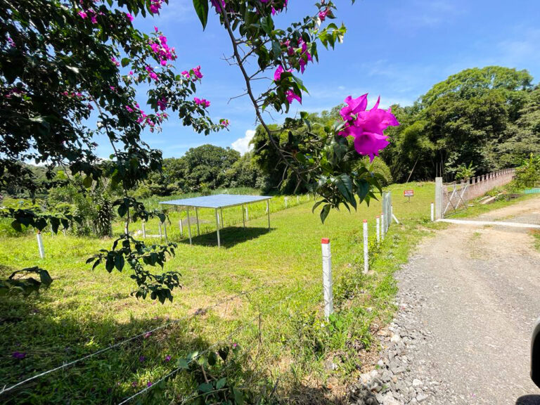 venta-lote-en-centro-de-atenas-murralf-7