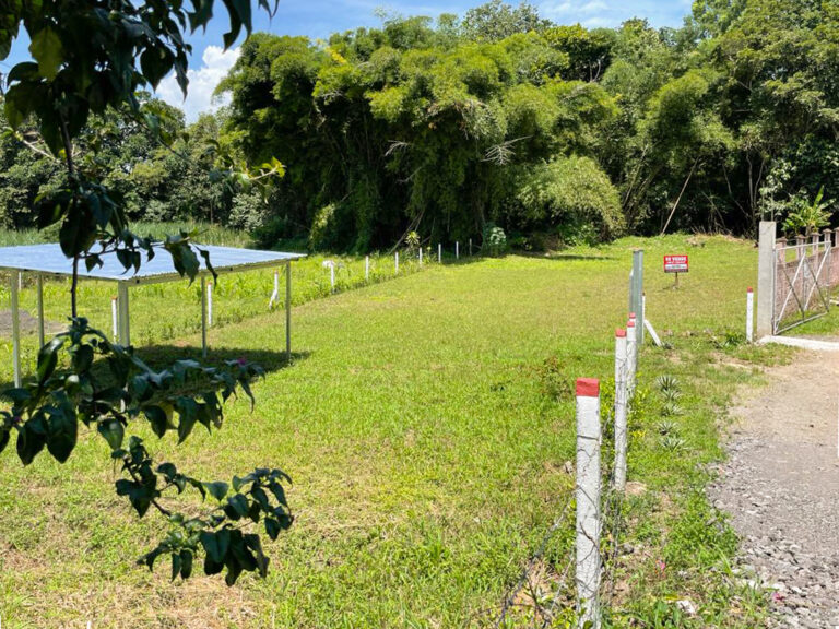 venta-lote-en-centro-de-atenas-murralf-8