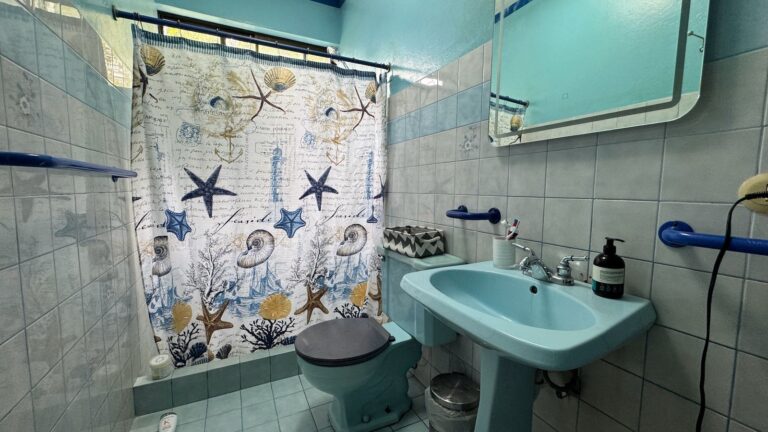 venta-propiedad-c-potencial-comercial-o-residencial-san-pedro-montes-de-oca-ad-12