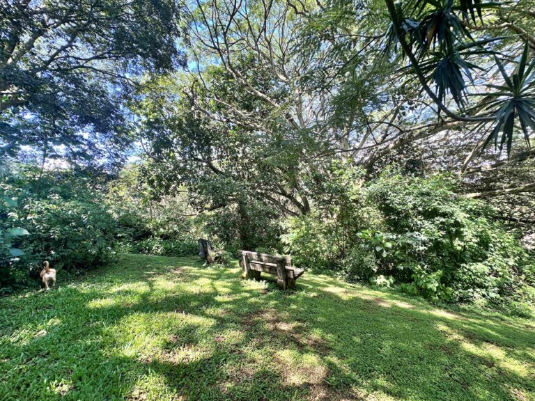 venta-quinta-con-2-casas-y-lago-la-garita-alajuela.-fau-18