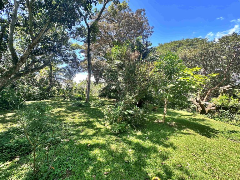 venta-quinta-con-2-casas-y-lago-la-garita-alajuela.-fau-7