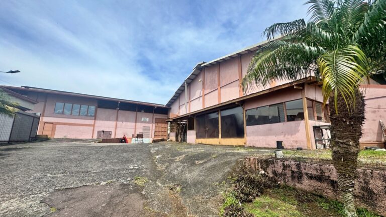 venta-terreno-con-bodegas-para-desarrollo-18