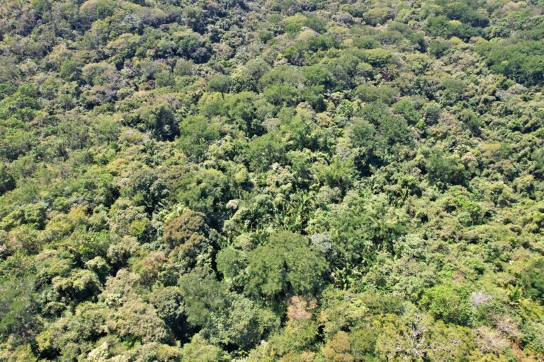 venta-terreno-con-vista-al-mar-y-montana-santa-cruz-guanacaste.-fe-10-1