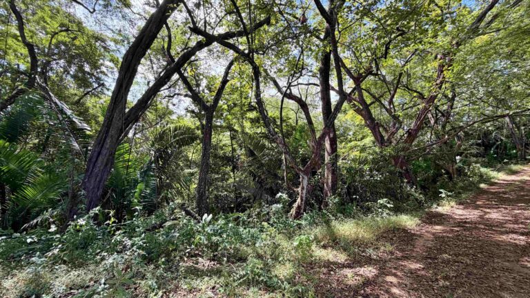 venta-terreno-con-vista-al-mar-y-montana-santa-cruz-guanacaste.-fe-3-1