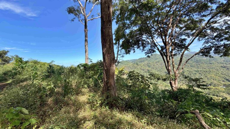 venta-terreno-con-vista-al-mar-y-montana-santa-cruz-guanacaste.-fe-6