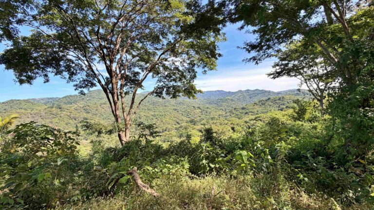 venta-terreno-con-vista-al-mar-y-montana-santa-cruz-guanacaste.-fe-7