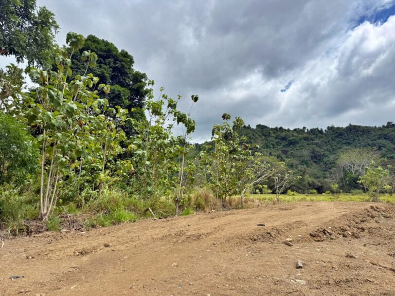 venta-terreno-plano-cerca-de-playa-pueblo-nuevo-garabito.-mv-1-1