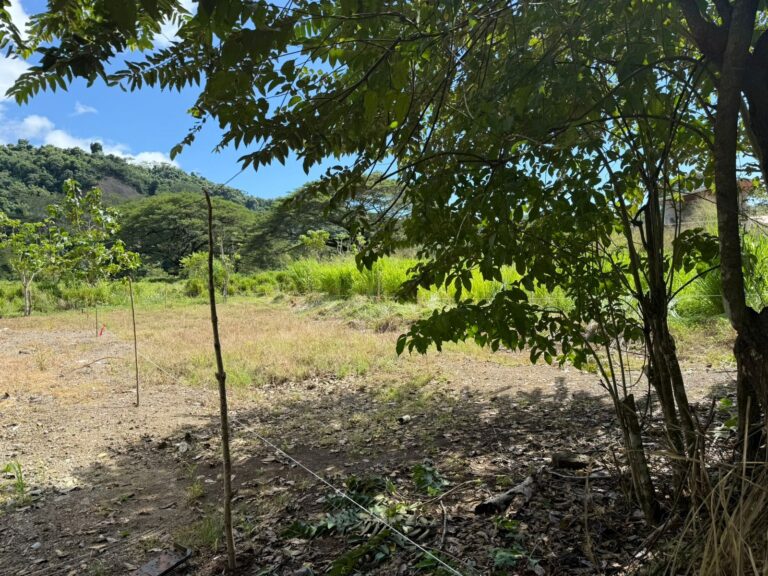 venta-terreno-plano-cerca-de-playa-pueblo-nuevo-garabito.-mv-5-1