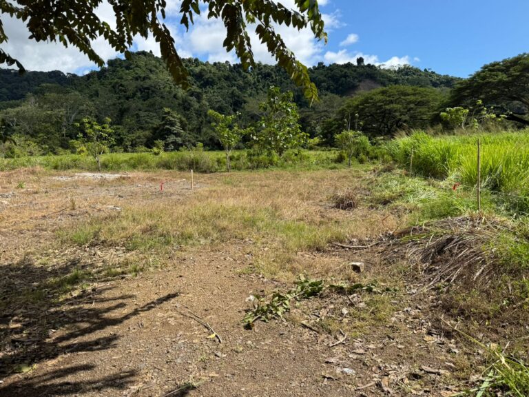 venta-terreno-plano-cerca-de-playa-pueblo-nuevo-garabito.-mv-7-1