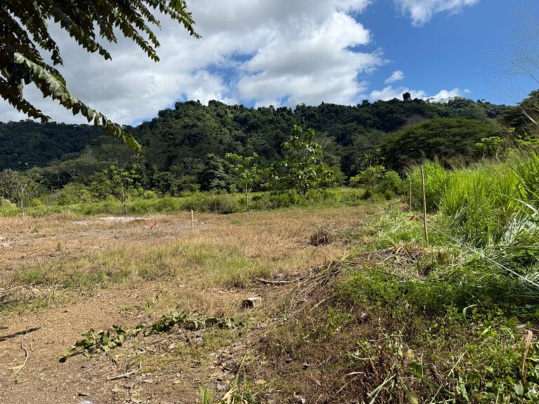 venta-terreno-plano-cerca-de-playa-pueblo-nuevo-garabito.-mv-9-1